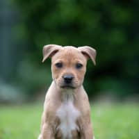 Photo of Nyla