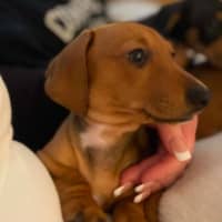 Photo of Crackle