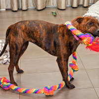 Photo of Coco Chanel