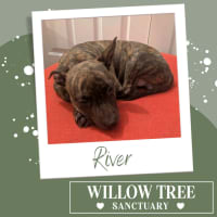 Photo of River