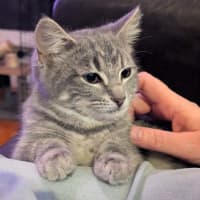 Photo of Sooty