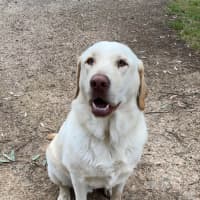 Photo of Max
