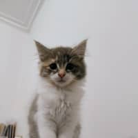 Photo of Elinor