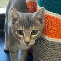 Photo of Funshine