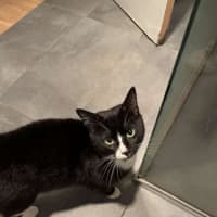 Photo of Sylvester