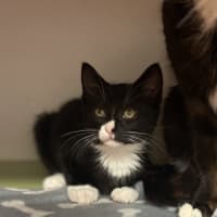 Photo of Daria