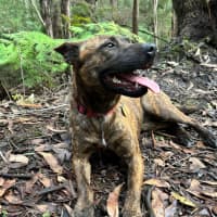 Photo of Cocobella