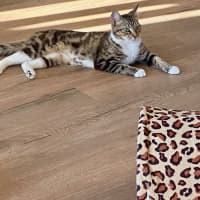 Photo of Bonny