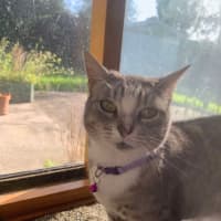 Photo of 💜 Totto 💜