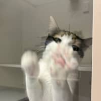 Photo of Saskia