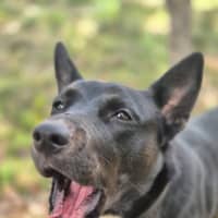Photo of Sally