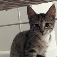 Photo of Emme Frankie