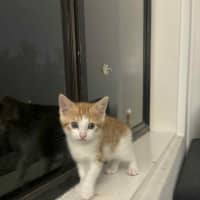 Photo of Elodie & Etienne