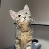 Photo of Sammy