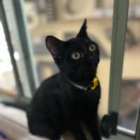 Photo of Monty