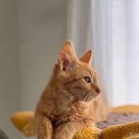 Photo of Zeus