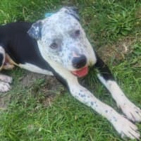 Photo of Rockefeller