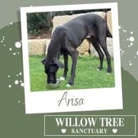 Photo of Arisa