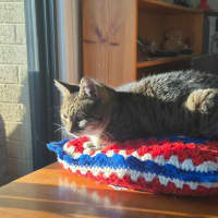 Photo of Kit Kat