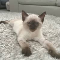 Photo of Nelson 🩵