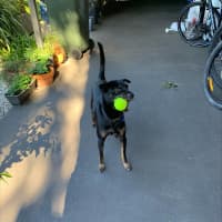 Photo of Luna 