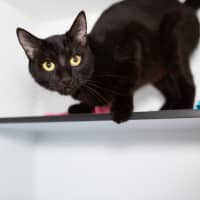 Photo of Honey