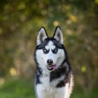 Photo of Elsa