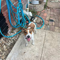 Photo of Miss Odie