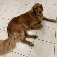 Photo of Kobe