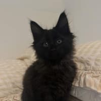 Photo of Tali