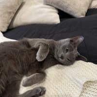 Photo of Cora
