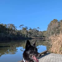 Photo of Black Forest