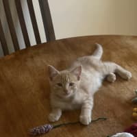 Photo of Pumpkin & Malcolm