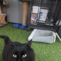 Photo of Wednesday