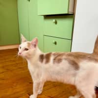 Photo of Russ ( Lazerus )