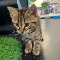 Photo of Asher