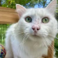Photo of Mr Bigglesworth