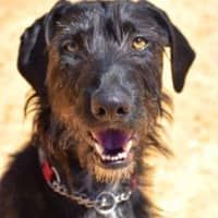 Photo of Roxy Peggotty