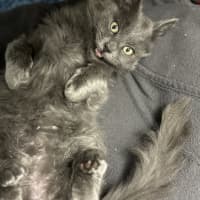 Photo of Bob Barnacles