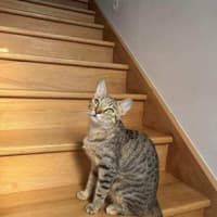 Photo of Lealo