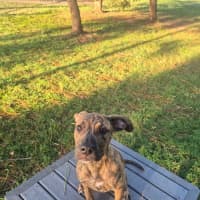 Photo of Adeline 