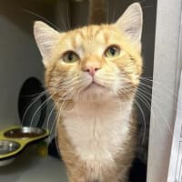 Photo of Miracle Max