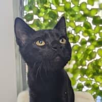 Photo of 🍳 Scramble 5731 🍳