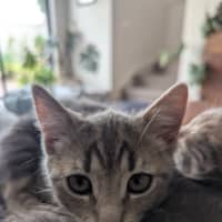 Photo of Maya Scotty