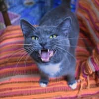 Photo of Phrada 🌒