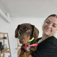 Photo of Choco