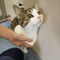 Photo of Gus