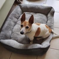 Photo of Elton Moriarty