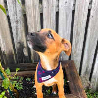 Photo of Tex