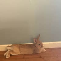 Photo of Popcorn Charlie